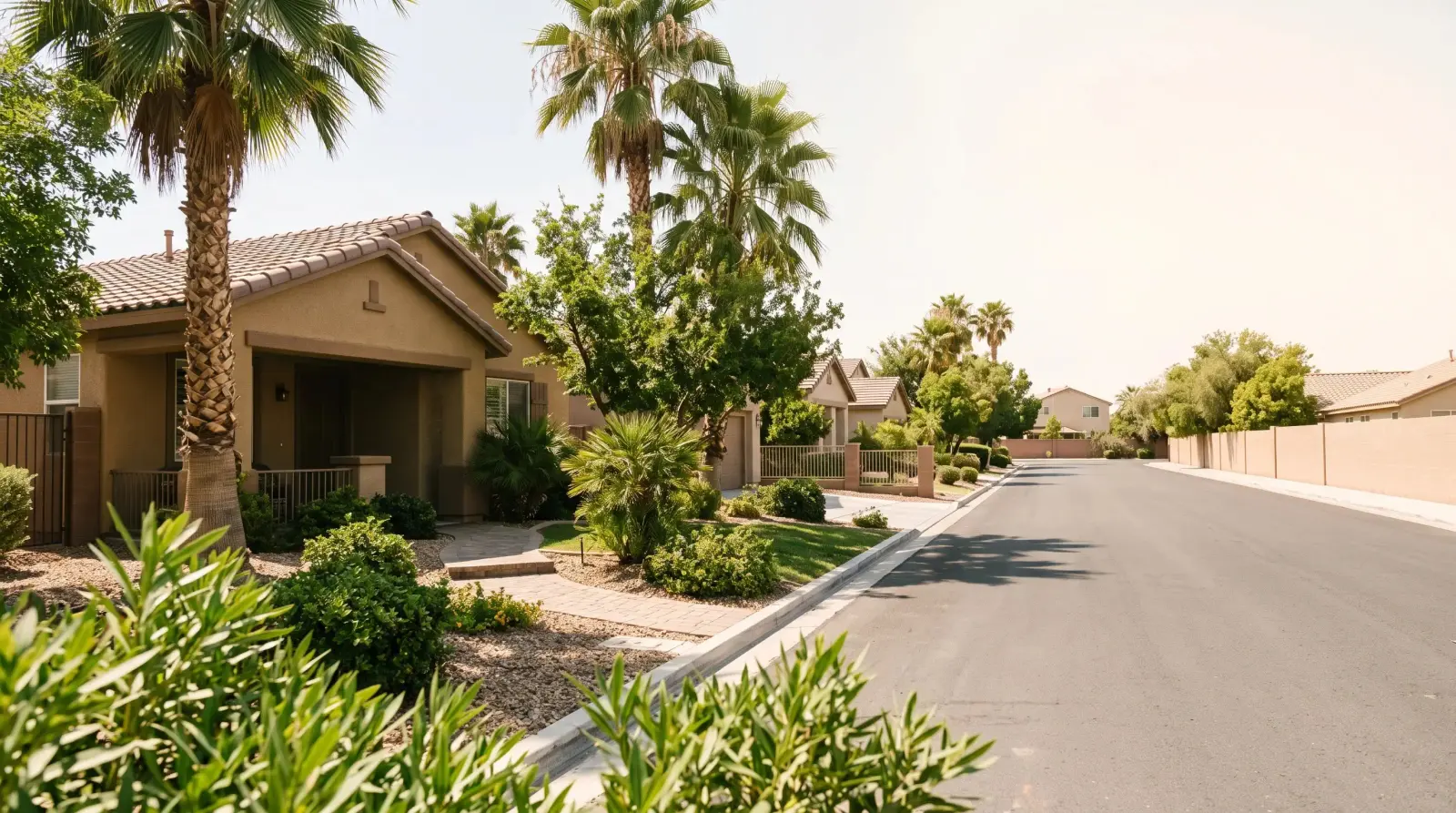 Residential street with homes, palm trees and desert shrubs in Spring Valley, Nevada